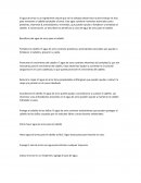 Beneficios del agua de arroz para el cabello