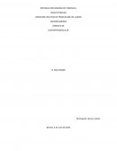 Dirección ejecutiva de producción los llanos