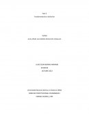 Fundamentación y distinción. Derecho Constitucional