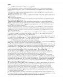 Geografia de Canarias. Clima: características, subtipos, zona geográfica