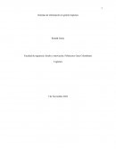 Sistemas de información en gestión logística