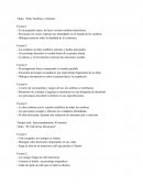 Entre Sombras y Siluetas