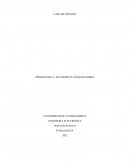 Caso de estudio investigacion UDEC