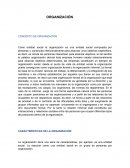 Concepto de organización. Importancia de la organización