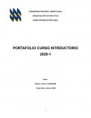 Curso Introductorio UNA
