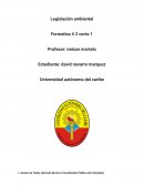 Acción de Tutela (Artículo 86 de la Constitución Política de Colombia)