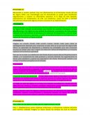 Fascinante mundo de Lean Six Sigma (LSS)