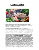 Caso Levena: adaptación a las exigencias y necesidades del mercado