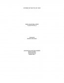 Informe de practica de yeso