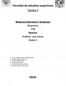 Medicina Veterinaria Y Zootecnia. Mastitis