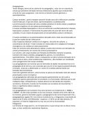 Paraganglioma. Anatomía y patología