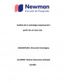 Análisis de la estrategia empresarial a partir de un caso real