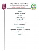Reporte de Lectura La Píldora Mágica