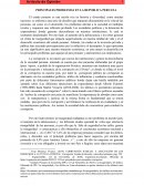 Principales problemas en el Perú actual