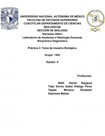 Reporte de Anatomía - Informe experimental. Práctica Autopasia rata Wistar. Página 1