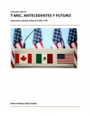 T-MEC, Antecedentes y Futuro. Informe descriptivo