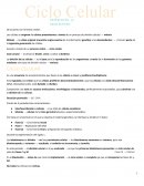 Ciclo Celular. La división de las células