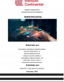 Caso práctico propuesto. Marketing digital