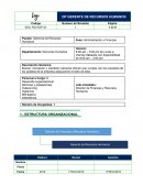 Gerencia de recursos humanos