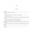 Ensayo Derecho Constitucional. Síntesis de los temas centrales de la materia