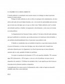 El hambre en el medio ambiente