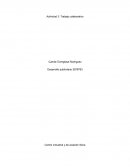 El trabajo colaborativo y sus características