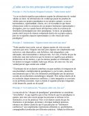 ¿Cuáles son los tres principios del pensamiento integral?