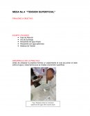 Tension superficial. Cuestionario