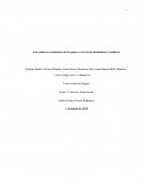 Las políticas económicas de los países a través de absolutismo