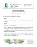 Taller integrador presupuesto privado