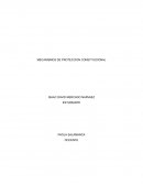Mecanismos de protección constitucional
