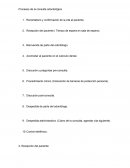 Procesos de la consulta odontológica