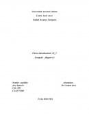 Informe sobre curso introductorio