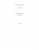 Ficha El Marco de Referencia COSO