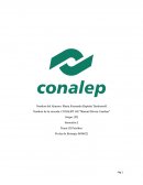 Trabajo del petróleo. Historia del petróleo