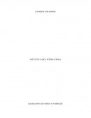 Agente de carga internacional. Usuarios aduaneros