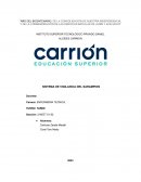 Sistema de vigilancia del sarampión