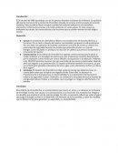 Ensayo sobre el accidente en Chernobyl