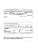 Notificación estatal 2024