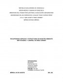 Recuperando espacios y estructuras de nuestro ambiente institucional y laboral