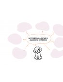 Las situaciones que enfrentan los perros en la calle