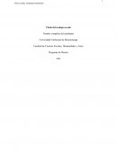 Plantilla Trabajo de grado