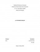 La fotografía macro (inglés)