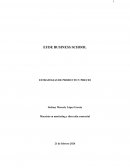 Caso práctico estrategias de producto y precio