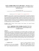 Leña combustible eco-amigable: ¿Prospectiva u obsolescencia tecnológica para la combustión residencial?
