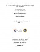 Importancia del control interno para el crecimiento de las PYMES en Colombia