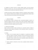 Ensayo sobre las infografías