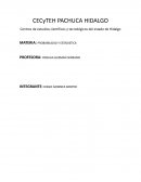 El Bullying dentro de la institución