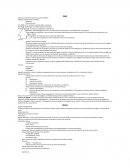 Anatomía patológica. Hígado