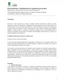 Reconocimiento e identificación de organismos procariotas